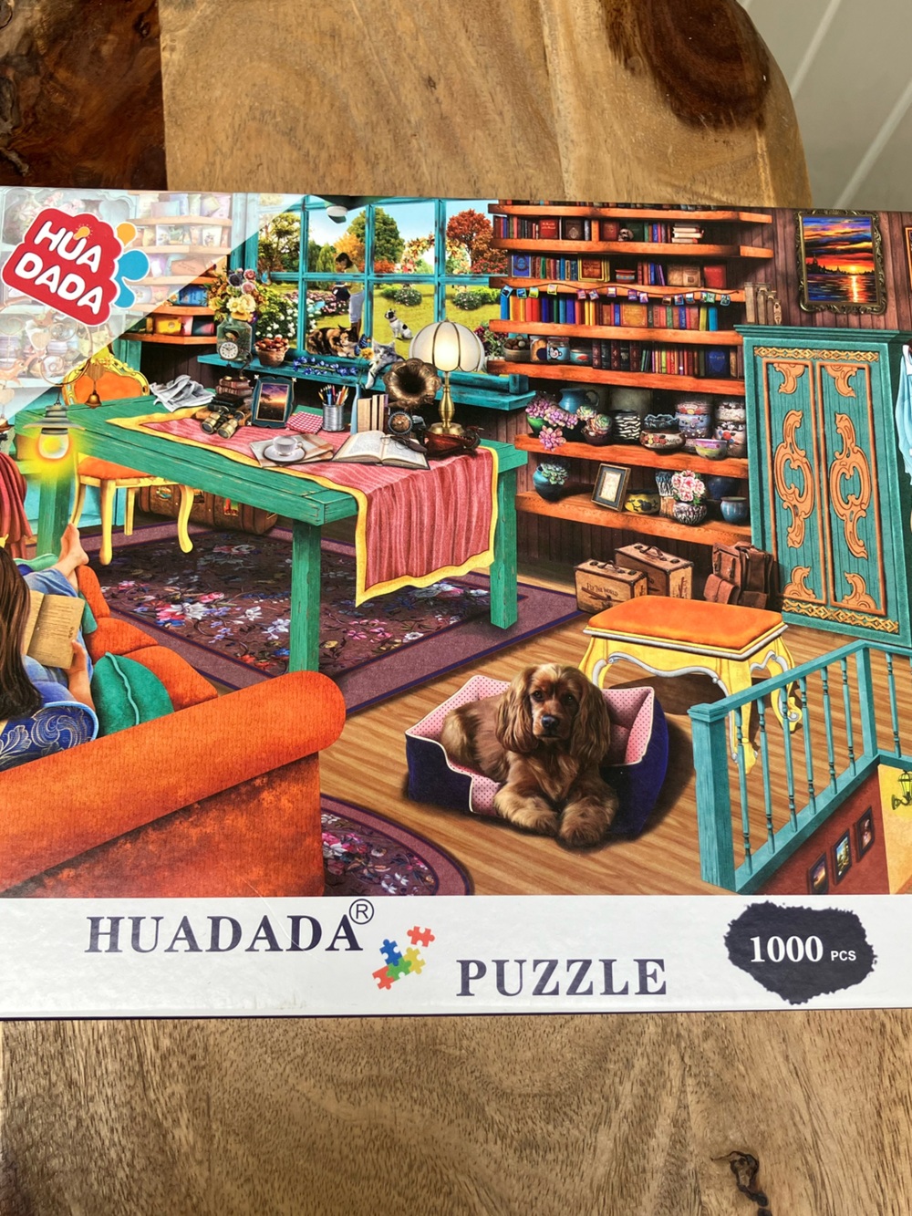 1000 piece puzzle Window Cat dog books cozy